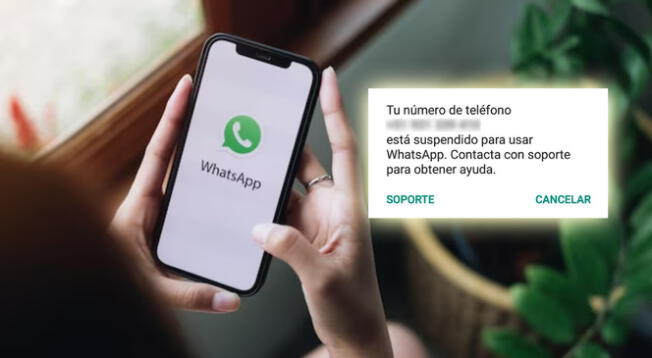 El listado de aplicaciones que podrían hacer que WhatsApp elimine tu cuenta de manera permanente.