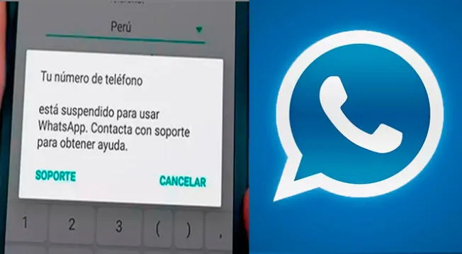 Conoce si realmente te podrían 'banear' por usar el WhatsApp Plus