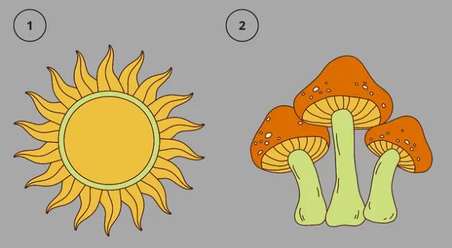 Para obtener un acertado resultado de este TEST VISUAL, tienes que decidir por el sol o el hongo.