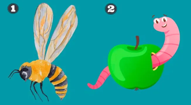 Uno de los dos insectos que aparecen en el TEST VISUAL te dirá cómo eres en realidad frente a los demás.