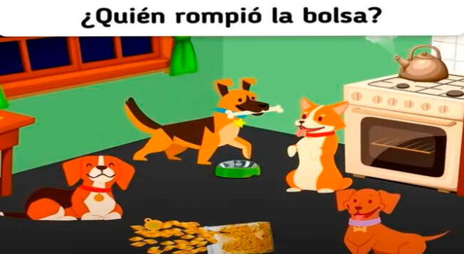 Solo los verdaderos amantes de los animales y acertijos superarán este caso.