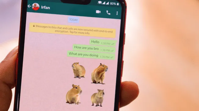 Lo stickers de capibara en WhatsApp están marcando tendencia