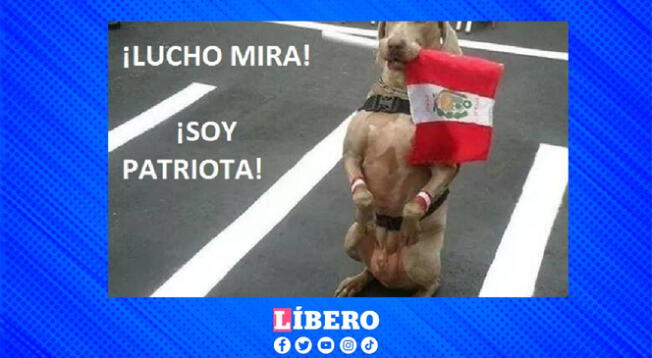Perú celebra Fiestas Patrias con memes realmente divertidos