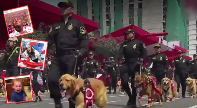 Los perritos de la Policía Canina se robaron el show en la Parada Militar.
