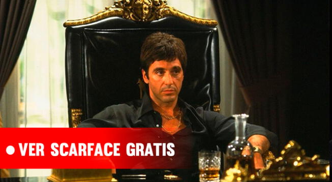 Entérate cómo ver la película Caracortada online en español latino GRATIS, protagonizada por Al Pacino.