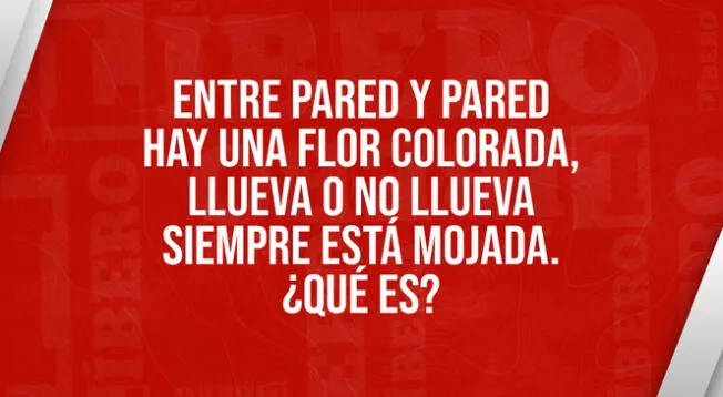 Pon a prueba tu habilidad deductiva y responde la interrogante.