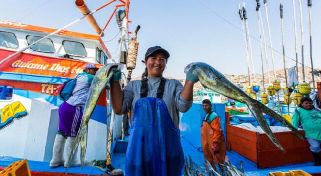 Conoce todo lo que necesitas saber sobre el nuevo subsidio para los pescadores.