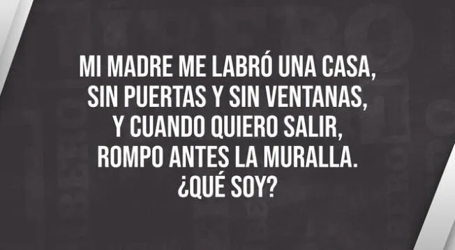 Pon a prueba tu intelecto y responde el acertijo mental.