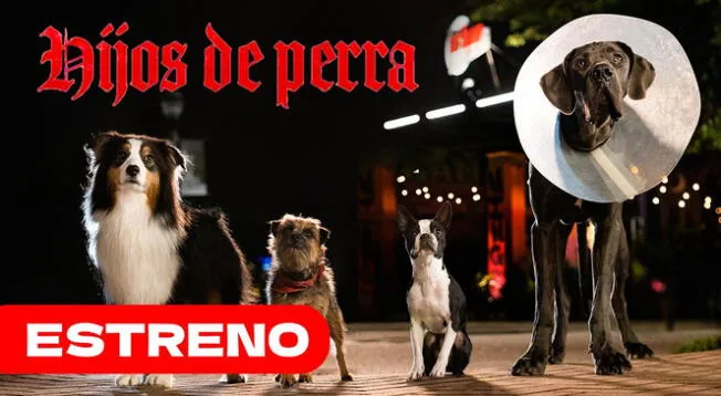 La película "Hijos de perra" se estrena el 24 de agosto en México y Latinoamérica.