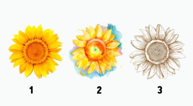 Conoce más detalles de tu personalidad solo con escoger uno de los girasoles de este increíble y revelador test visual.