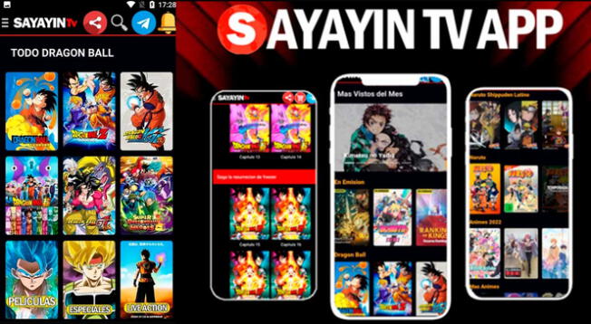 Conoce los riesgos de utilizar la plataforma Sayayin TV en tu smartphone, PC o Smart TV.