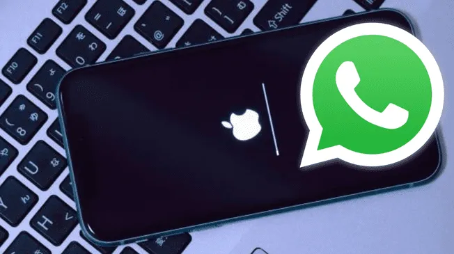 La nueva versión beta de WhatsApp para iPhone llega con una nueva sección