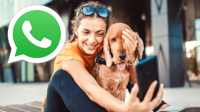 Sé original con tu foto de perfil de WhatsApp y llama la atención de tus contactos