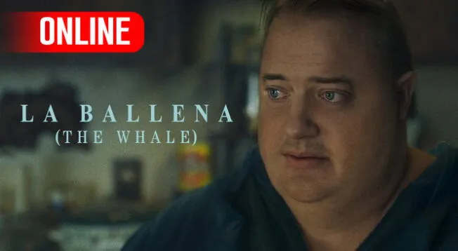 "The Whale" o "La ballena" en español está disponible en las plataformas digitales.