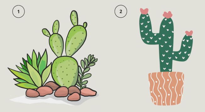 ¿Cuál de los dos cactus llamó tu atención? Según tu respuesta, sabrás cosas inéditas de tu relación.