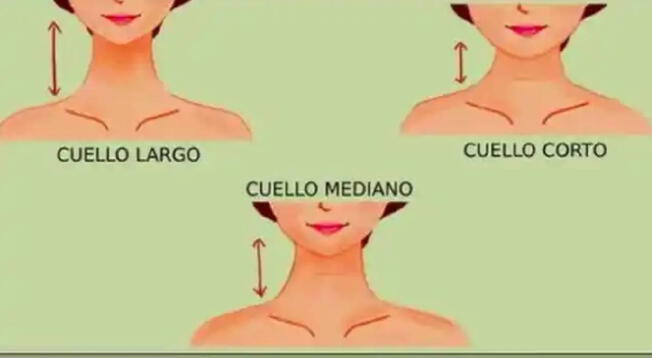 ¿Cómo es tu cuello? Elige solo uno de ellos y asómbrate