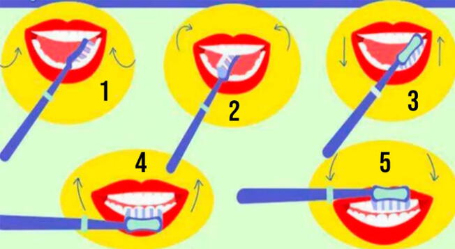 La forma en que te lavas tus dientes en este nuevo test visual revelará más sobre ti.