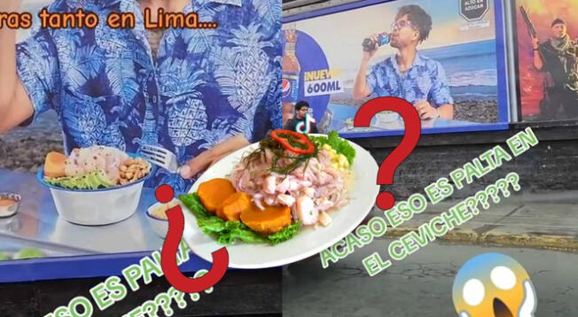 Joven expone publicidad en la que muestran el ceviche con palta