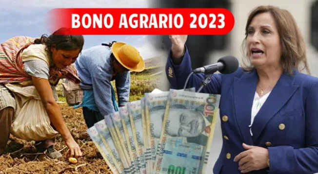 El Bono Agrario 2023 busca beneficiar a los agricultores del Perú tras el alza de fertilizantes.