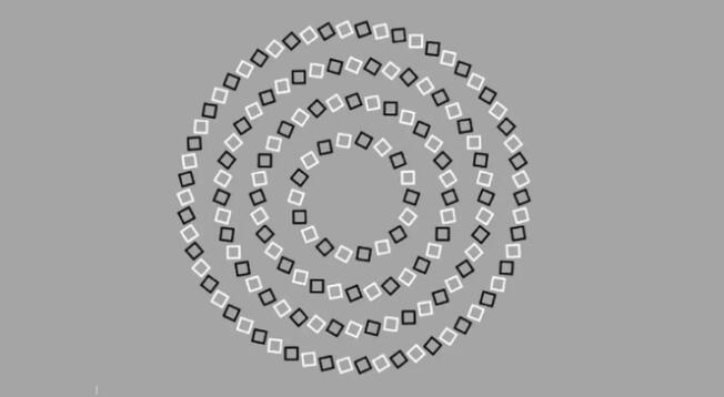 Conoce cuál es la verdadera cantidad de círculos que están escondidos en la ilusión óptica.
