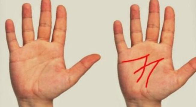 Descubre qué es lo que quiere decir la letra "M" en la palma de tu mano gracias al test.