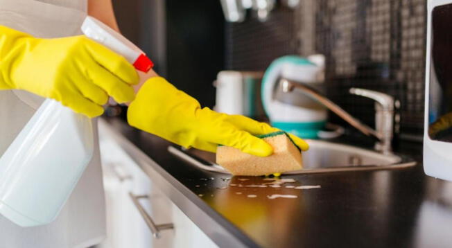 Con este procedimiento eliminarás a los molestos bichos que puedan afectar tu cocina.