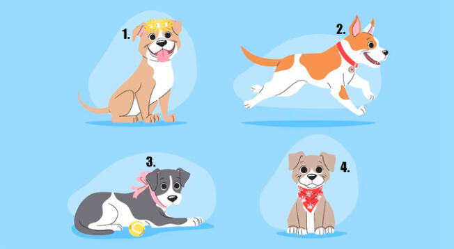 Resuelve este test de personalidad que te permitirá descubrir cómo es que te ven los demás según el perrito que elijas de la imagen.