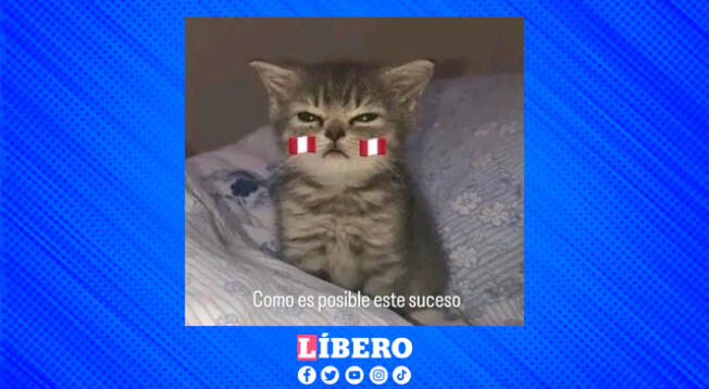 Fanáticos peruanos comparten divertidos memes con la convocatoria de Juan Reynoso.