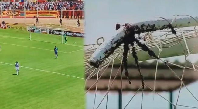 Panal de abejas se implantó en arco de Alianza Atlético