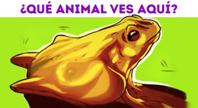 Conócete más según el animal que reconozcas aquí