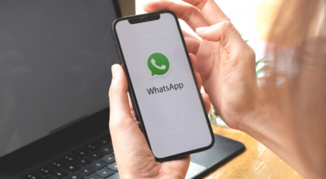 Conoce cómo conversar con la inteligencia artificial en WhatsApp en el 2023.