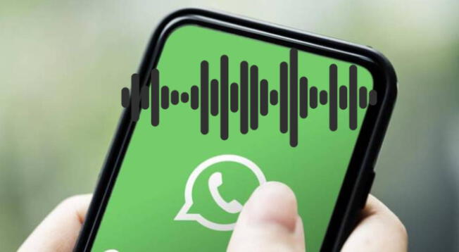 WhatsApp 2023: aprende a utilizar los chats de voz para grupos