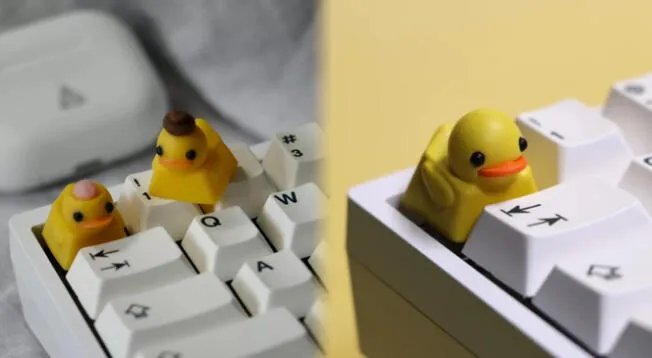 Teclado de patos amarillos se hace viral en las redes sociales: ¿Cuánto cuestan?