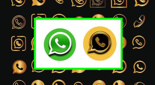 Conoce más acerca de lo que es la nueva versión de WhatsApp