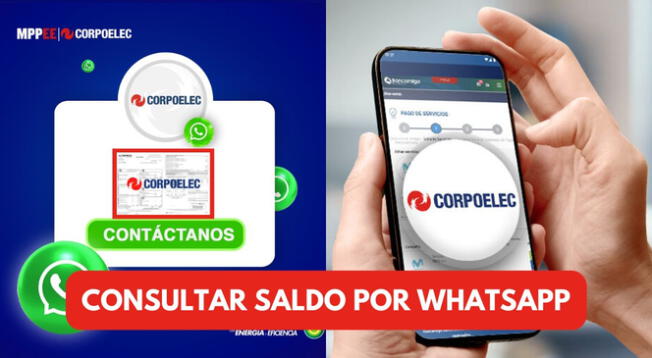 Revisa AQUÍ cómo consultar tu saldo en Corpoelec a través de WhatsApp.