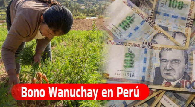 El Bono Wanuchay ya no está disponible y benefició  miles de agricultores peruanos.