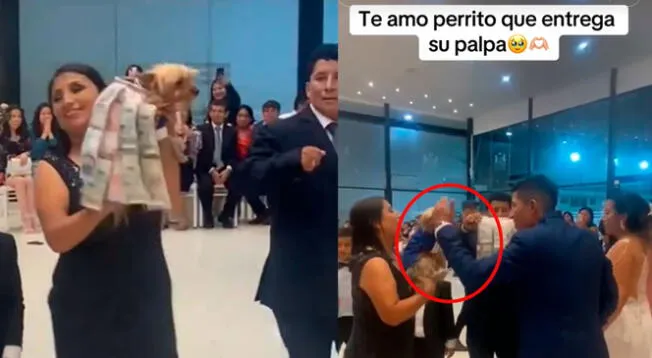 Perrito llegó con su palpa y se robó el show en la boda.