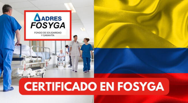 Descubre AQUÍ cómo descargar el certificado de seguridad social desde FOSYGA.