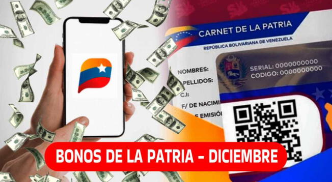 Los bonos de la Patria del mes de diciembre buscan beneficiar a diversos sectores de Venezuela.