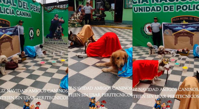 Los perros de la policía del Perú sorprendieron a más de uno con su interpretación.