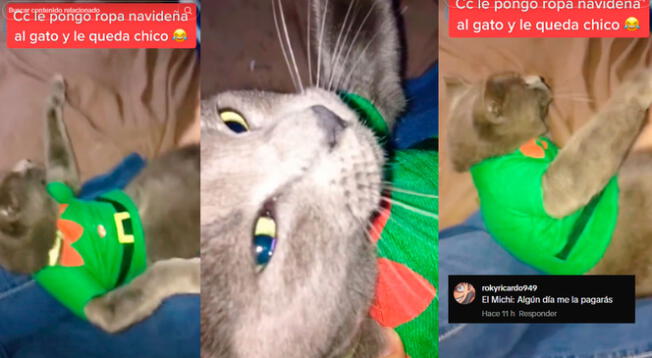 Un gatito molesto se ha vuelto viral, tras recibir un traje pequeño por Navidad 2023. Video es viral en tikTok.