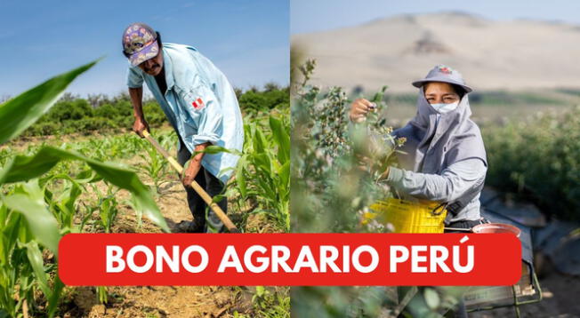 Conoce AQUÍ toda la información oficial relacionada al pago de un nuevo Bono agrario.