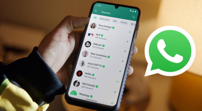 Cómo transferir la propiedad de un canal de WhatsApp a otra persona.