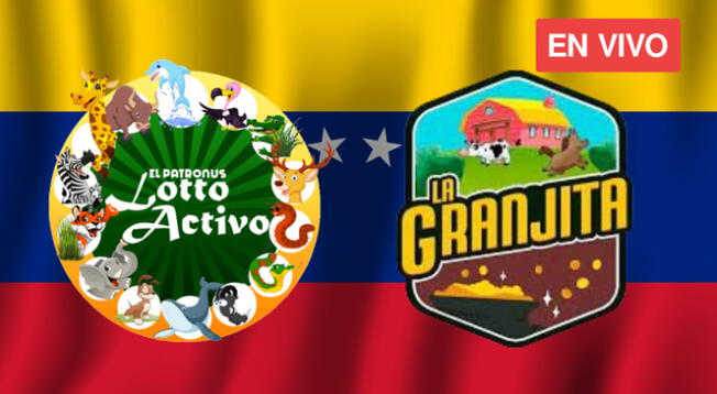 Conoce los resultados de Lotto Activo y La Canjita, sorteos de Venezuela.