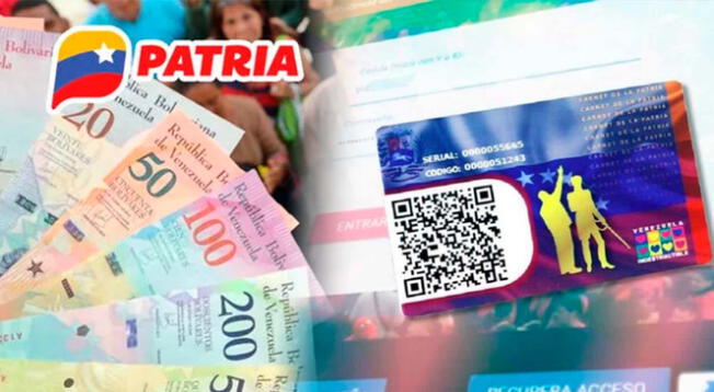 Consulta aquí cuánto dinero tienes en el Carnet de la Patria de Venezuela.