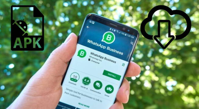 Aprende a descargar WhatsApp Business APK en simples pasos