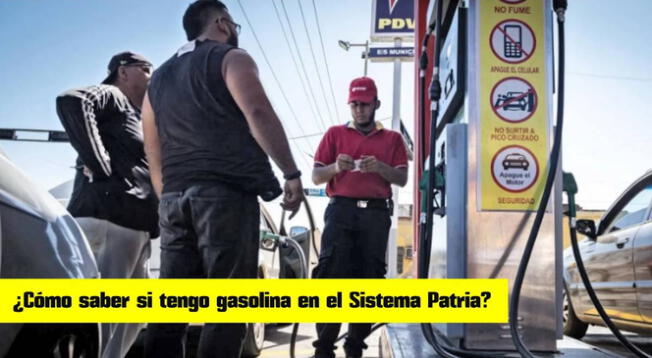 Gasolina en el Sistema Patria.