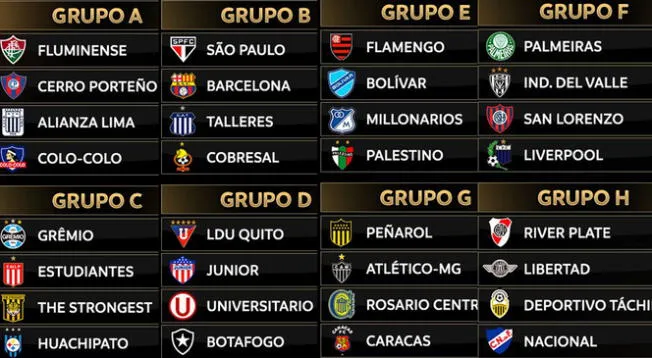 Fixture de la Copa Libertadores 2024.