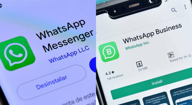 Conoce AQUÍ si puedes utilizar el mismo número para WhatsApp y WhatsApp Business.