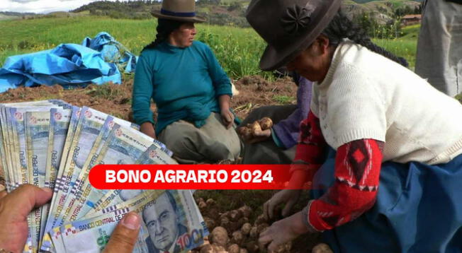 El Bono Agrario 2024 ha ganado mucha popularidad entre los peruanos.